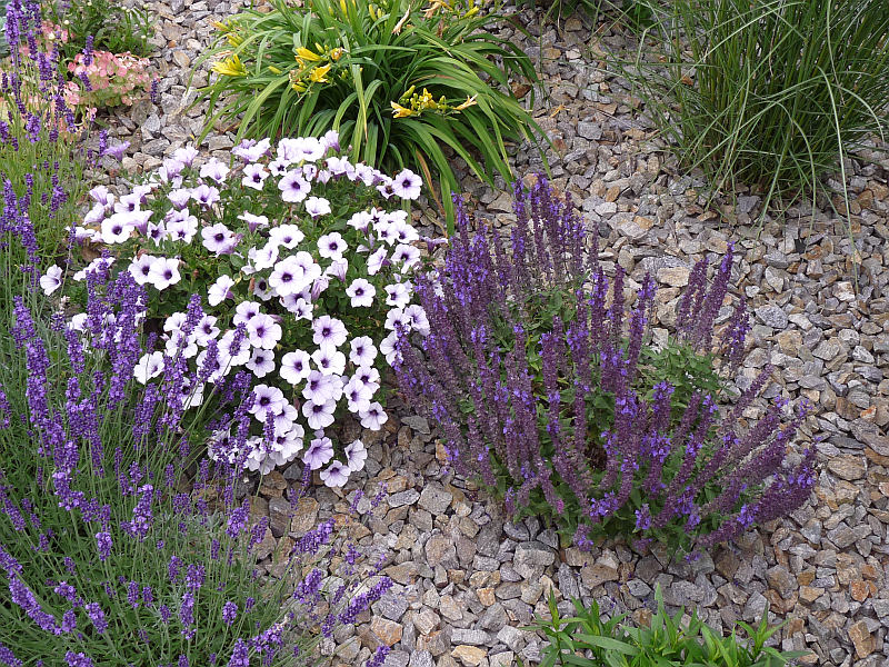 Štěrková zahrada Štěrková zahrada