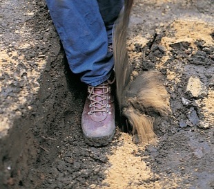 Osazujeme skořepinu obr. 2 - vodní plocha jako okrasný prvek (READERS DIGEST VÝBĚR)