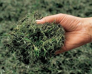 Vertikutace trávníku (WOLF GARTEN) Vertikutace trávníku (WOLF GARTEN)