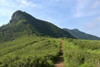 Pogonia - lokalita (Pogonia minor)
